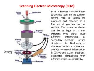 scanning electron microscopy slideshare